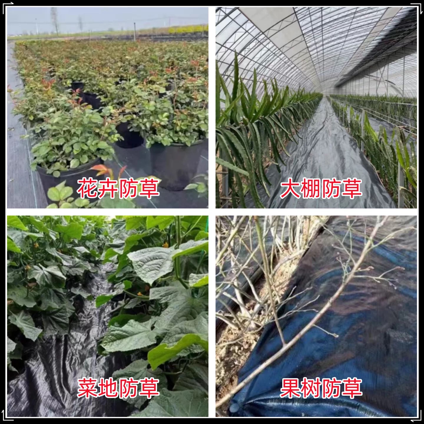 日照市工程膜防草布 - 厂家