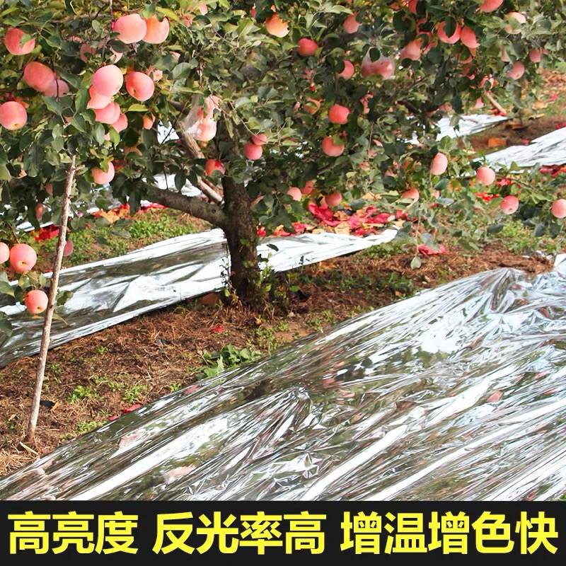 日照市塑料薄膜果树反光膜 - 厂家